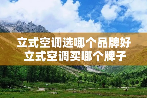 立式空调选哪个品牌好 立式空调买哪个牌子好