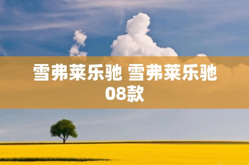雪弗莱乐驰 雪弗莱乐驰08款