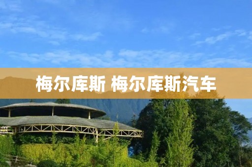 梅尔库斯 梅尔库斯汽车