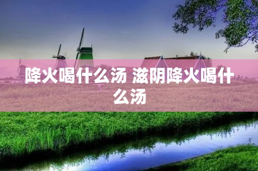 降火喝什么汤 滋阴降火喝什么汤 降火喝什么汤 滋阴降火喝什么汤