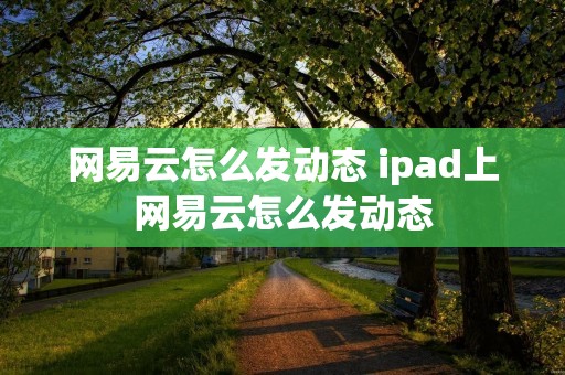 网易云怎么发动态 ipad上网易云怎么发动态