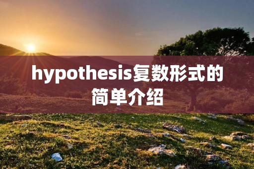 hypothesis复数形式的简单介绍