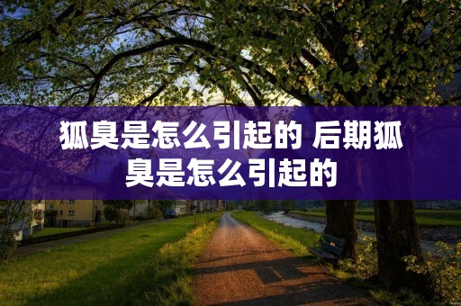 狐臭是怎么引起的 后期狐臭是怎么引起的