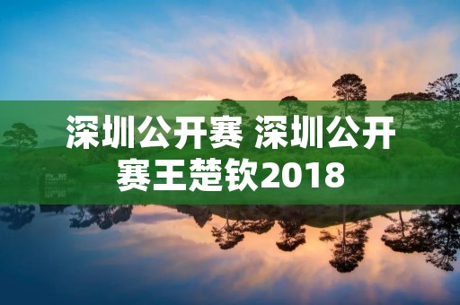 深圳公开赛 深圳公开赛王楚钦2018