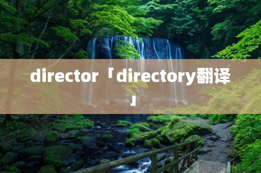 director「directory翻译」 director「directory翻译」