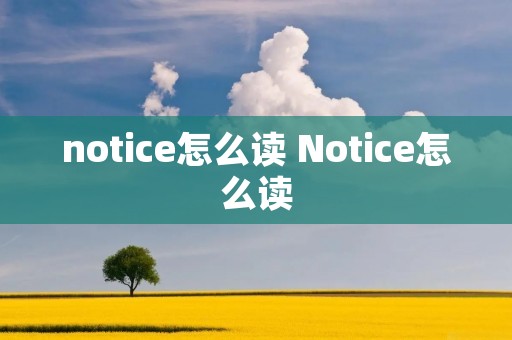 notice怎么读 Notice怎么读