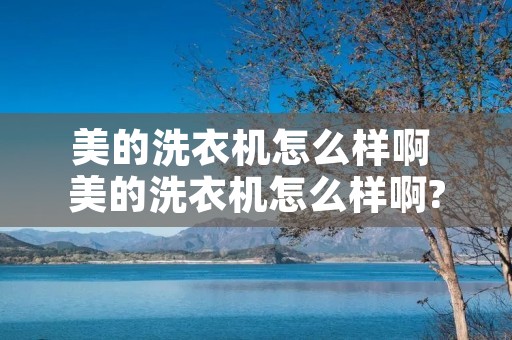 美的洗衣机怎么样啊 美的洗衣机怎么样啊?
