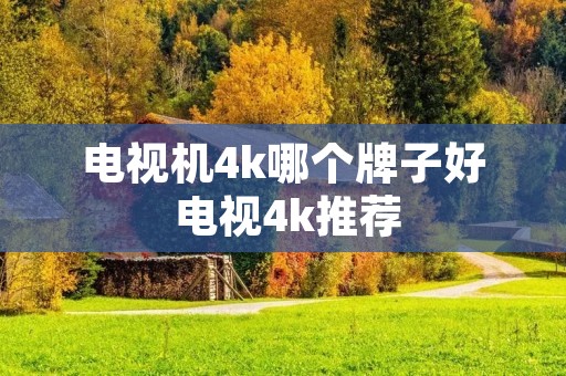 电视机4k哪个牌子好 电视4k推荐