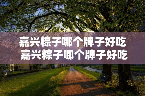 嘉兴粽子哪个牌子好吃 嘉兴粽子哪个牌子好吃一点