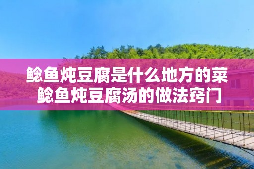 鲶鱼炖豆腐是什么地方的菜 鲶鱼炖豆腐汤的做法窍门