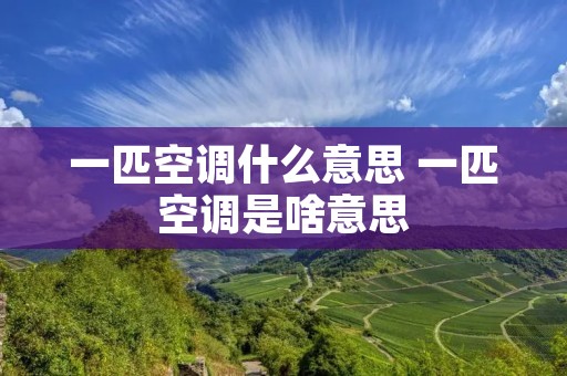 一匹空调什么意思 一匹空调是啥意思