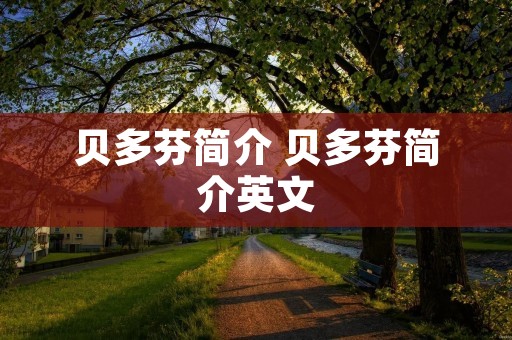 贝多芬简介 贝多芬简介英文 贝多芬简介 贝多芬简介英文