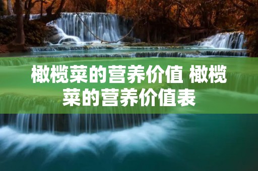 橄榄菜的营养价值 橄榄菜的营养价值表 橄榄菜的营养价值 橄榄菜的营养价值表