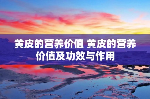黄皮的营养价值 黄皮的营养价值及功效与作用