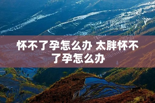 怀不了孕怎么办 太胖怀不了孕怎么办 怀不了孕怎么办 太胖怀不了孕怎么办
