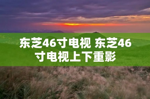 东芝46寸电视 东芝46寸电视上下重影