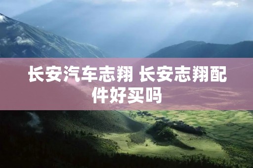 长安汽车志翔 长安志翔配件好买吗 长安汽车志翔 长安志翔配件好买吗