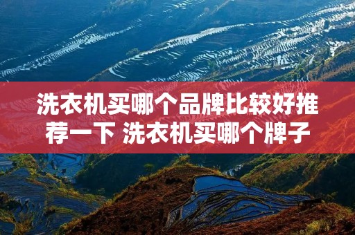 洗衣机买哪个品牌比较好推荐一下 洗衣机买哪个牌子最好