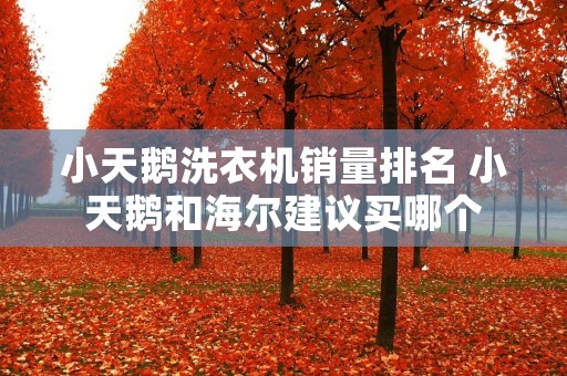 小天鹅洗衣机销量排名 小天鹅和海尔建议买哪个