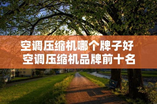 空调压缩机哪个牌子好 空调压缩机品牌前十名