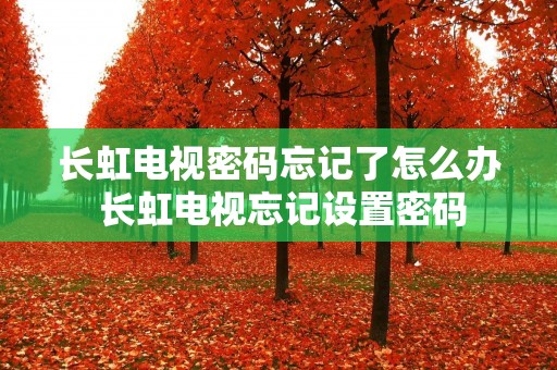 长虹电视密码忘记了怎么办 长虹电视忘记设置密码 长虹电视密码忘记了怎么办 长虹电视忘记设置密码