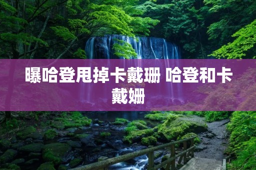 曝哈登甩掉卡戴珊 哈登和卡戴姗