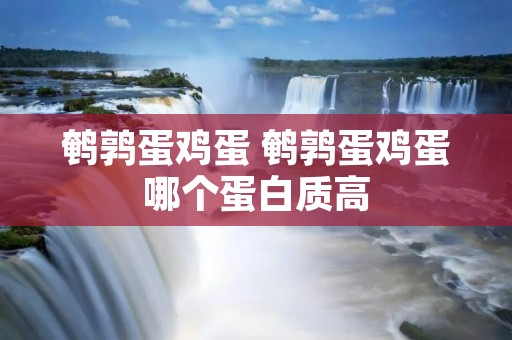 鹌鹑蛋鸡蛋 鹌鹑蛋鸡蛋哪个蛋白质高
