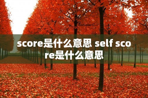 score是什么意思 self score是什么意思