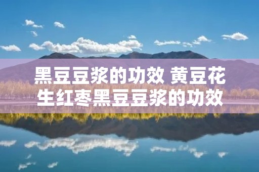 黑豆豆浆的功效 黄豆花生红枣黑豆豆浆的功效