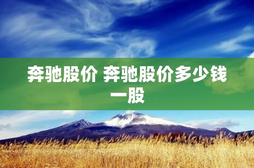 奔驰股价 奔驰股价多少钱一股