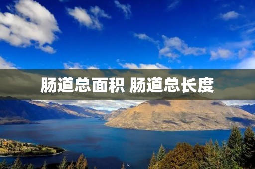 肠道总面积 肠道总长度 肠道总面积 肠道总长度