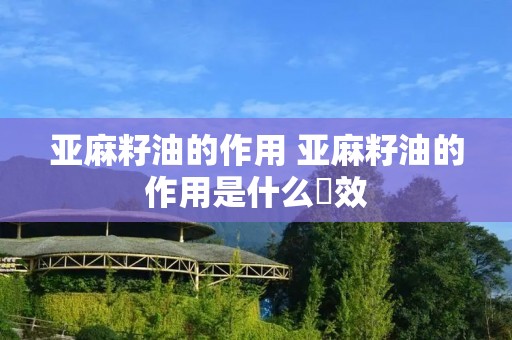 亚麻籽油的作用 亚麻籽油的作用是什么玏效