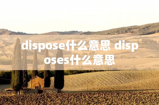 dispose什么意思 disposes什么意思