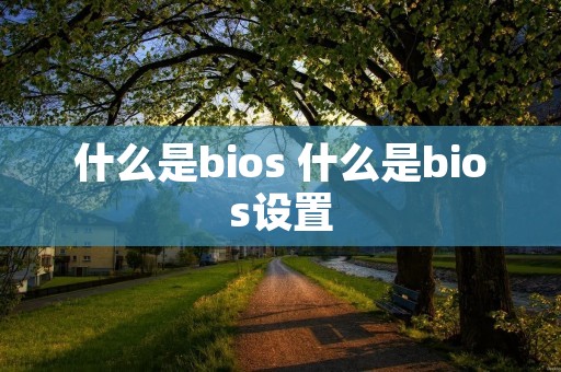 什么是bios 什么是bios设置 什么是bios 什么是bios设置
