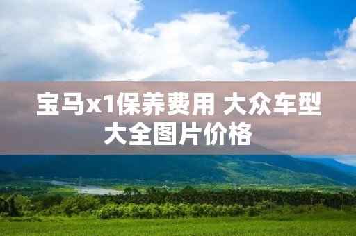 宝马x1保养费用 大众车型大全图片价格