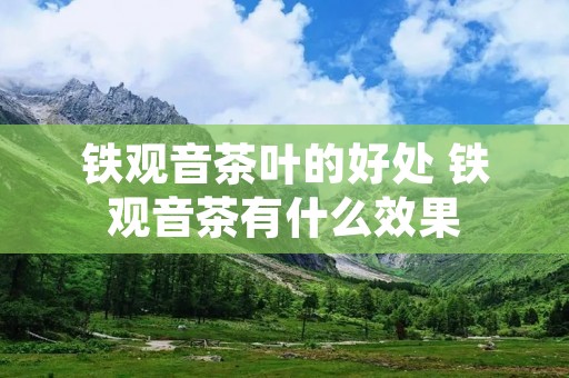 铁观音茶叶的好处 铁观音茶有什么效果