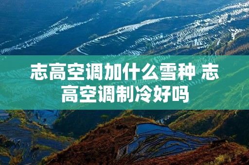 志高空调加什么雪种 志高空调制冷好吗
