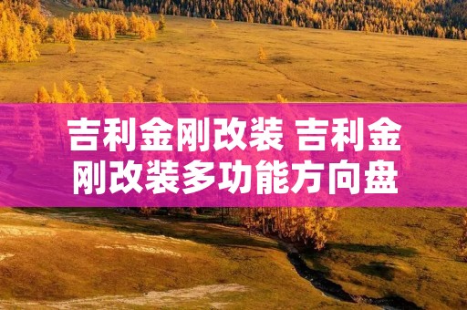 吉利金刚改装 吉利金刚改装多功能方向盘