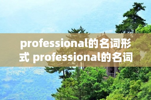 professional的名词形式 professional的名词和形容词