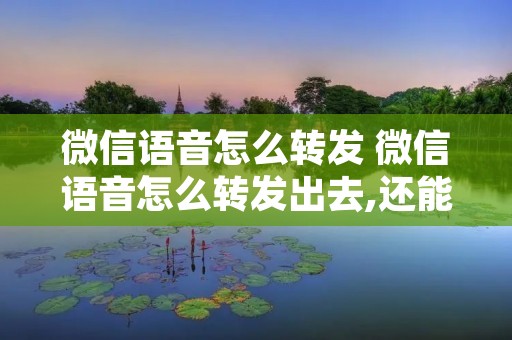 微信语音怎么转发 微信语音怎么转发出去,还能听到语音