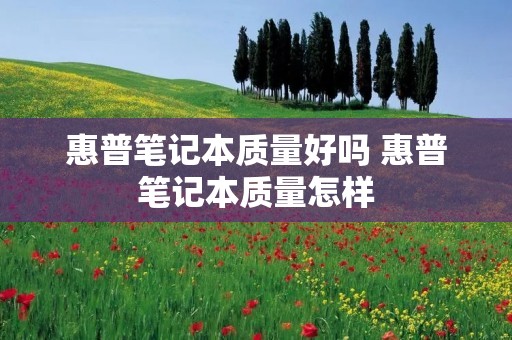 惠普笔记本质量好吗 惠普笔记本质量怎样