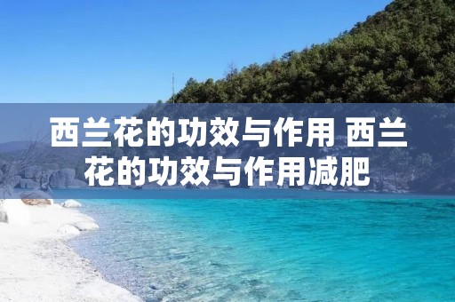 西兰花的功效与作用 西兰花的功效与作用减肥
