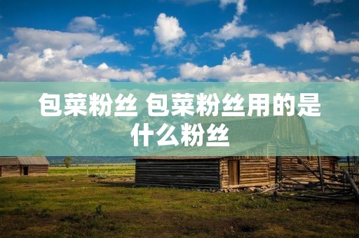 包菜粉丝 包菜粉丝用的是什么粉丝 包菜粉丝 包菜粉丝用的是什么粉丝