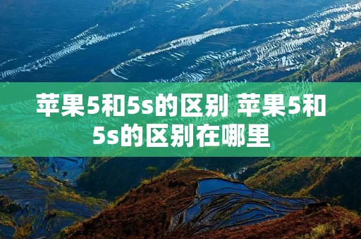 苹果5和5s的区别 苹果5和5s的区别在哪里 苹果5和5s的区别 苹果5和5s的区别在哪里