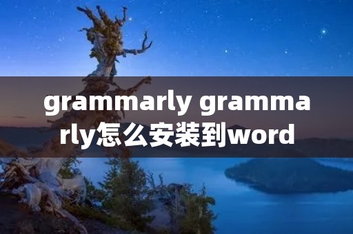 grammarly grammarly怎么安装到word
