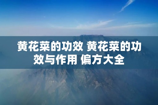 黄花菜的功效 黄花菜的功效与作用 偏方大全