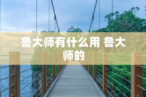 鲁大师有什么用 鲁大师的