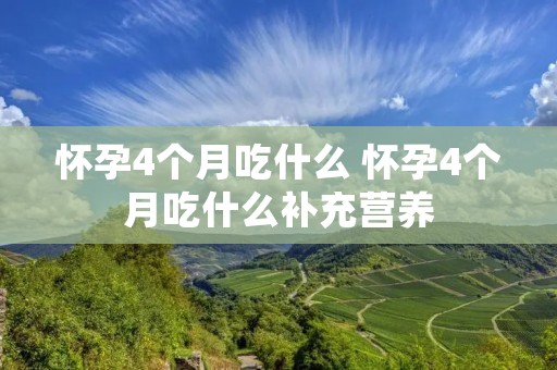 怀孕4个月吃什么 怀孕4个月吃什么补充营养