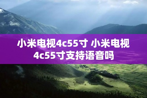 小米电视4c55寸 小米电视4c55寸支持语音吗