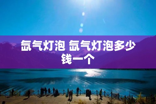 氙气灯泡 氙气灯泡多少钱一个